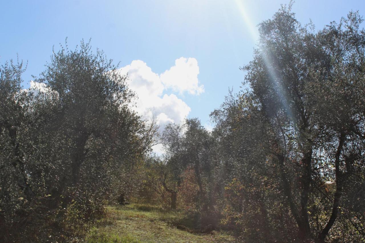 Agriturismo Due Comuni San Gervasio Exterior foto